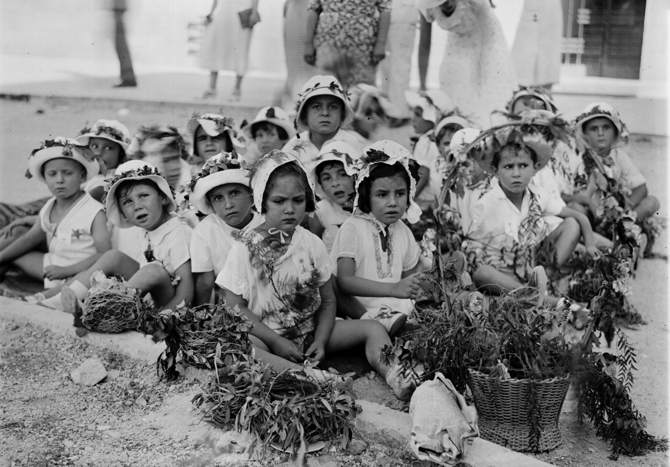 1960. Колючий снаружи, но радостный внутри. Фото: Давид Хиршфельд