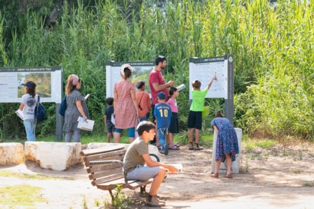 проект «Канфей ККЛ» 