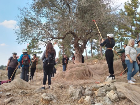 В общей сложности приняло участие более 8 тысяч волонтеров. По прогнозам до окончания проекта ожидается участие около 20 тысяч человек.