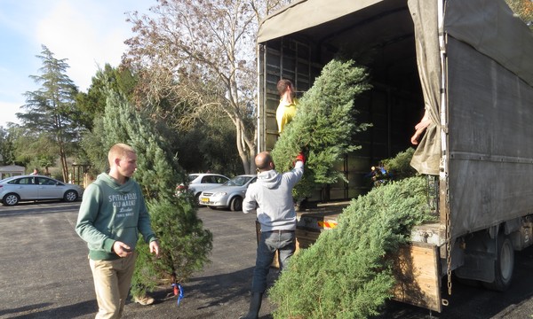 По традиции каждый год ККЛ-ЕНФ проводит елочные базары для всех желающих