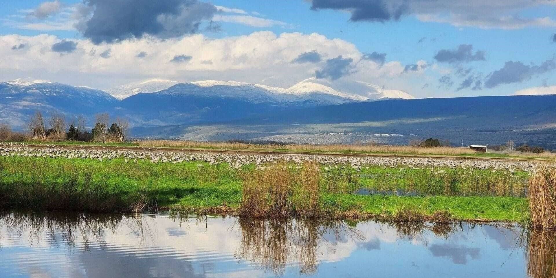 Озеро Ха-Хула. Фото: Эйнбар Шломит Рубин