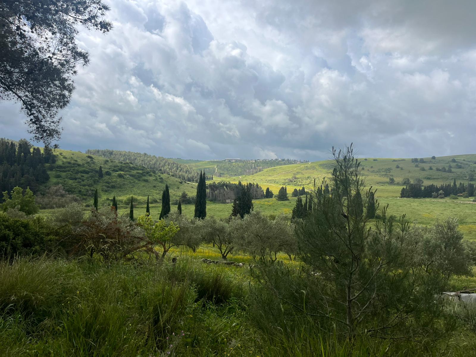 Фото: Ноа Таль (ККЛ-ЕНФ)