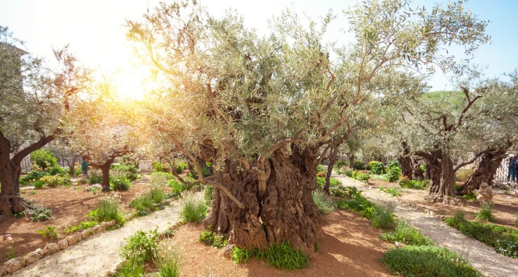 Фото: Shutterstock