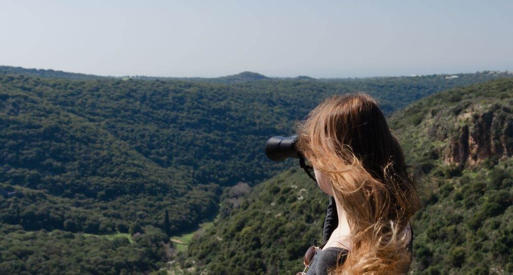 Фото: Shutterstock