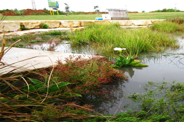 биофильтр Кфар-Сабы, фото: Йоав Сапахи