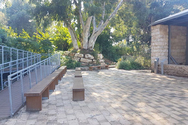 Площадка перед восстановленной мельницей и скамьи для сидения, фото: Мира Зер