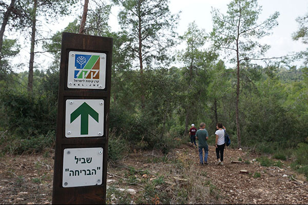 Одна из информационных досок на Тропе , фото: Пнина Зайзлер 