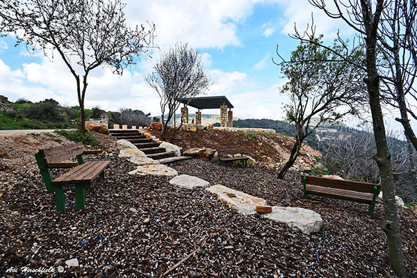 орнитологическая наблюдательная площадка Маргалиёт, фото: архив фотодокументов ЕНФ-ККЛ