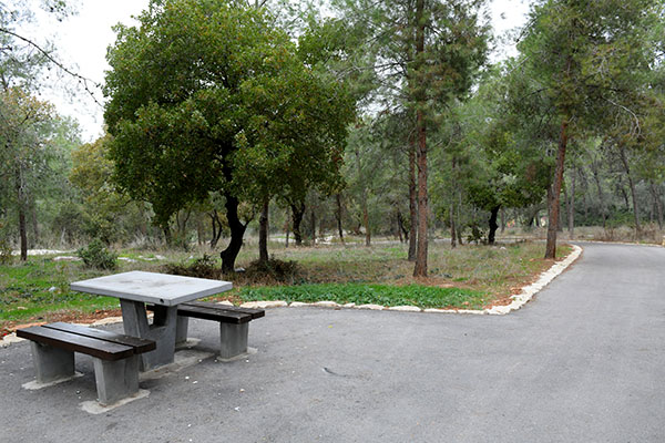 На снимке: столик для пикников в парке, фото: Исраэль Перец, архив фотодокументов ЕНФ-ККЛ