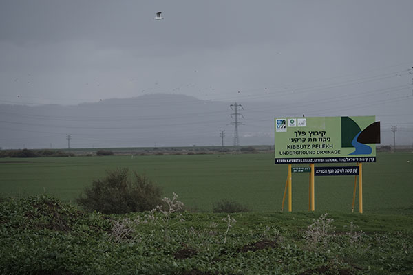 На снимках: поля кибуца Пелех после мелиорационных работ, фото: Ави Гиршфельд, архив фотодокументов ЕНФ-ККЛ

На снимках: поля кибуца Пелех после мелиорационных работ, фото: Ави Гиршфельд, архив фотодокументов ЕНФ-ККЛ

На снимках: поля кибуца Пелех пос