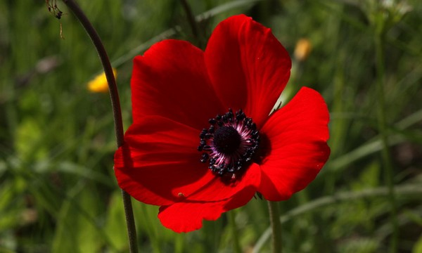 экскурсии по израилю