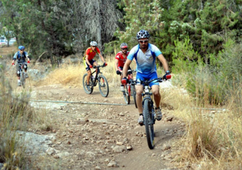 רוכבים אופניים בסינגל שקקל הכשירה בתל חדיד.  צילום: יוסי זלינגר, ארכיון הצילומים של קקל