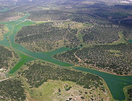 פארק עדולם. צילום: ארכיון צילומי קקל