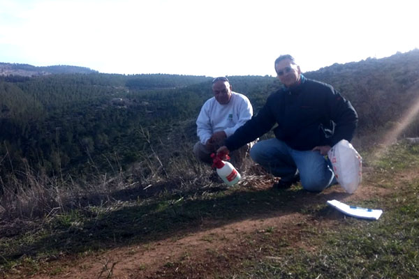 הדברת והתחדשות אמברוסיה בגוש הפרוזדור. צילום: שני גלייטמן