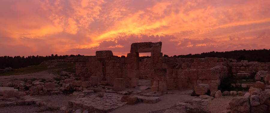 Фото: Авиноам Нисим