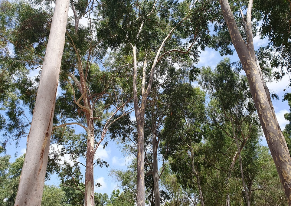 Фото: Shutterstock