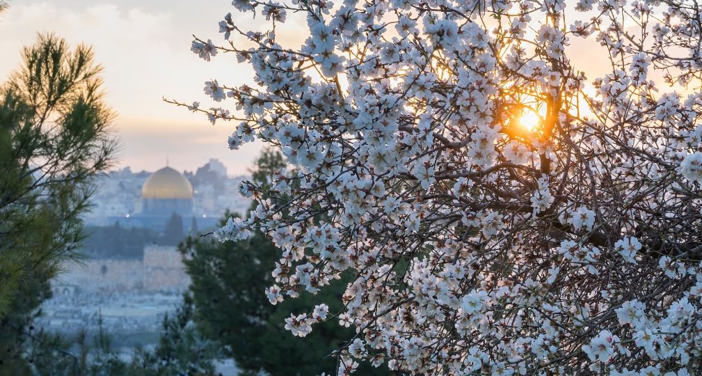 Фото: Shutterstock