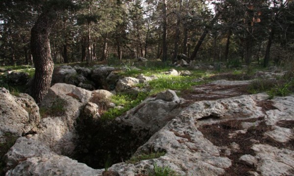 «Пятница с ККЛ-ЕНФ» - тайны и секреты леса Кула 