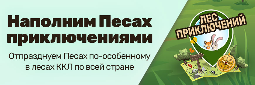 Участники получают игровой комплект, который включает: приложение «Лес приключений», навигационную карту и интерактивную карту пикников для всей семьи Участники получают игровой комплект, который включает: приложение «Лес приключений», навигационную карту и интерактивную карту пикников для всей семьи