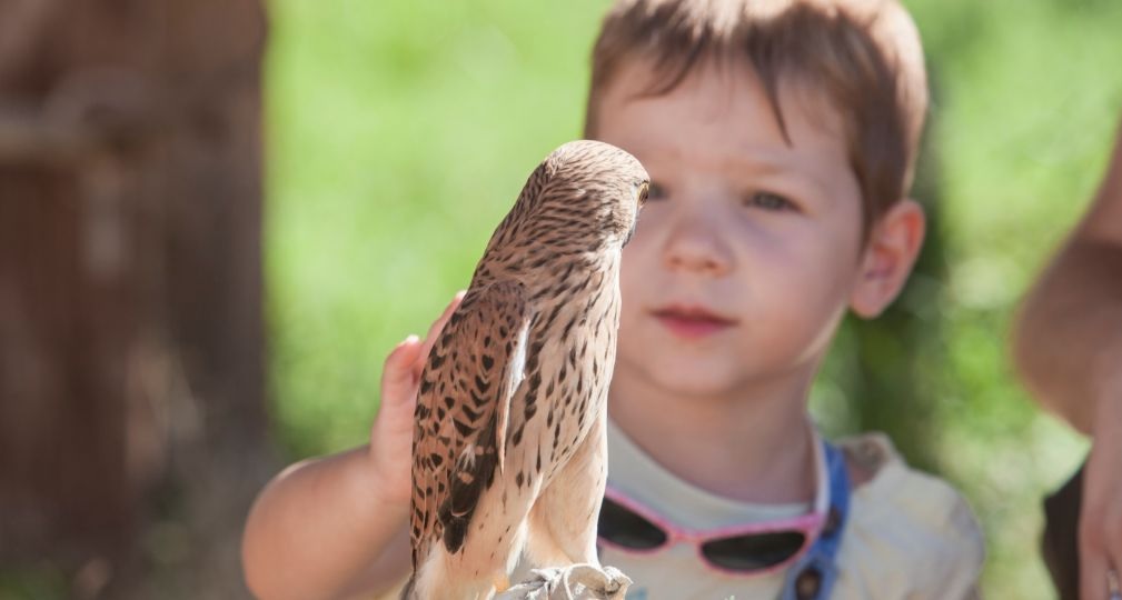 Фото: Shutterstock